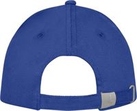 CAPPELLINO DOYLE